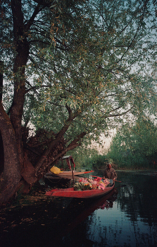 Pink Boat