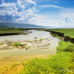 Tranquil Shore
