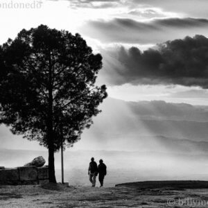 Loving Silhouette